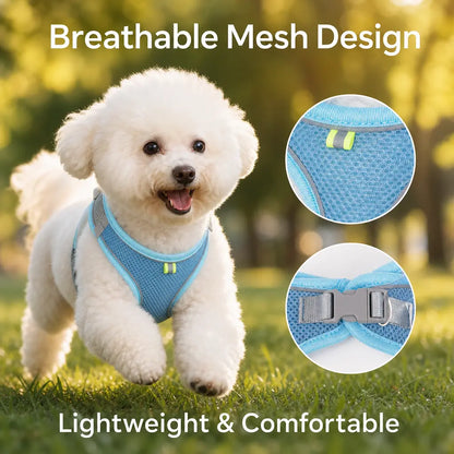 Breathable Mesh Pet Harness and Leash Set - Escape-Proof, No-Pull Vest with Reflective Strip for Small to Medium Dogs and Cats - Adjustable Soft Padded Design for Walking and Training