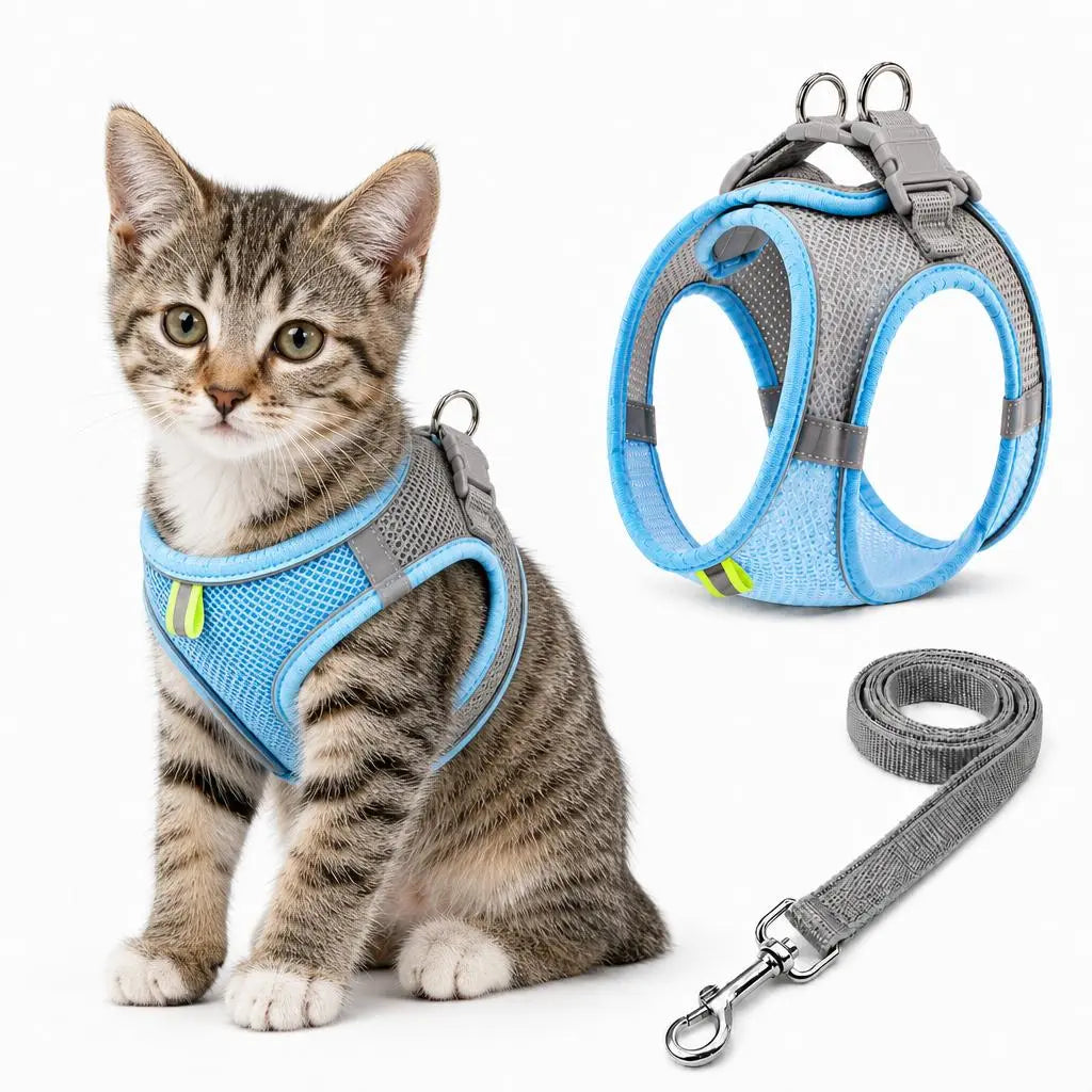 Breathable Mesh Pet Harness and Leash Set - Escape-Proof, No-Pull Vest with Reflective Strip for Small to Medium Dogs and Cats - Adjustable Soft Padded Design for Walking and Training